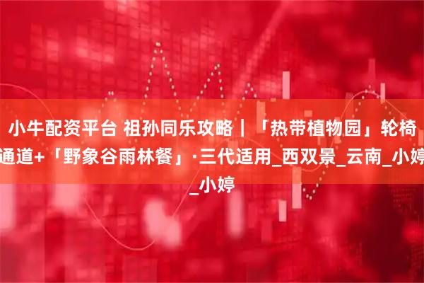 小牛配资平台 祖孙同乐攻略｜「热带植物园」轮椅通道+「野象谷雨林餐」·三代适用_西双景_云南_小婷