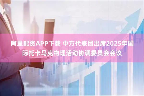 阿里配资APP下载 中方代表团出席2025年国际托卡马克物理活动协调委员会会议