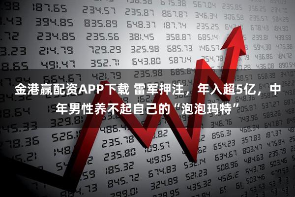 金港赢配资APP下载 雷军押注，年入超5亿，中年男性养不起自己的“泡泡玛特”